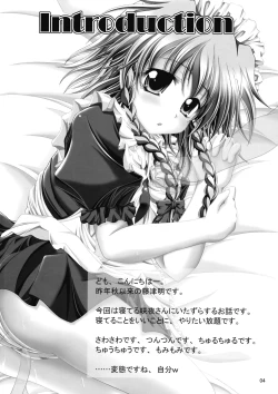 Page 3 of Dokidoki Maid Shinpan