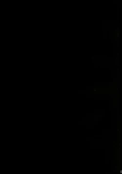 Page 2 of Shiawase ni Naritai Otona no Inaba DS