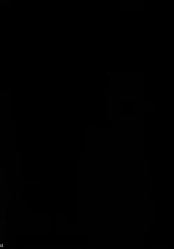 Page 3 of Shiawase ni Naritai Otona no Inaba DS