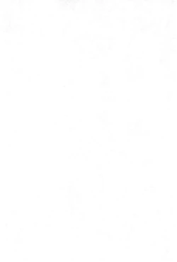 Page 4 of Namikidoori