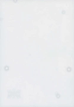 Page 36 of Ogiso Setsuna no Owaru Sakujitsu