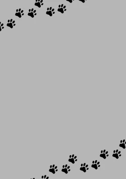 Page 17 of Tamatama Cat 2