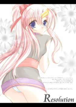 Page 33 of Resolution