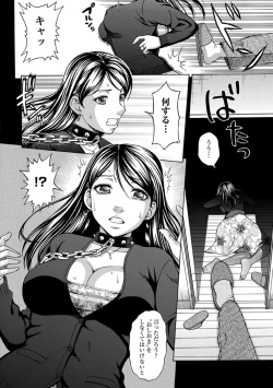 Page 31 of Mesuinu Catalog Choukyou Inpu