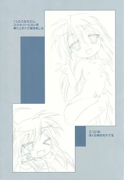 Page 13 of FLAVOR LINK