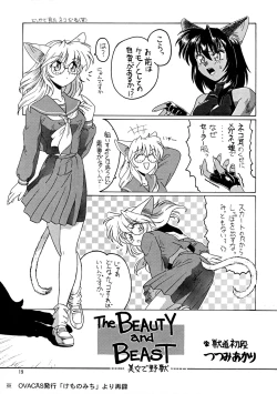 Page 19 of CAZA MAYOR