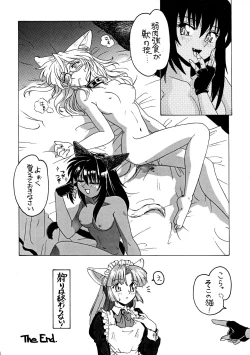 Page 22 of CAZA MAYOR