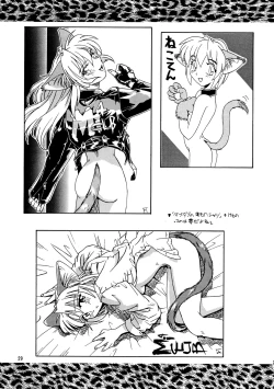 Page 29 of CAZA MAYOR