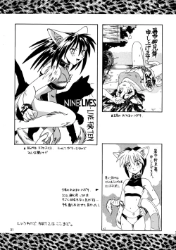 Page 31 of CAZA MAYOR