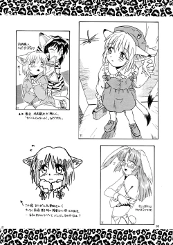 Page 10 of CAZA MAYOR 2