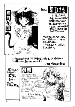 Page 11 of CAZA MAYOR 2