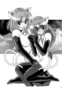 Page 13 of CAZA MAYOR 2