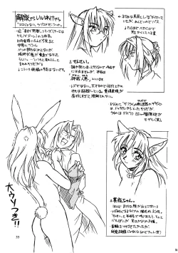 Page 33 of CAZA MAYOR 2