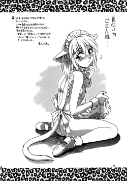 Page 36 of CAZA MAYOR 2