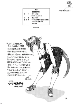 Page 38 of CAZA MAYOR 2