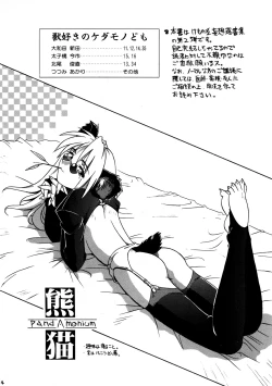 Page 4 of CAZA MAYOR 2