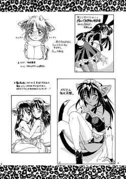 Page 6 of CAZA MAYOR 2