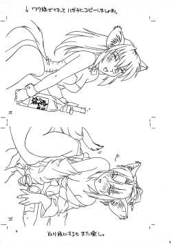 Page 9 of CAZA MAYOR 2