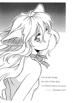 Page 3 of CAZA MAYOR 3