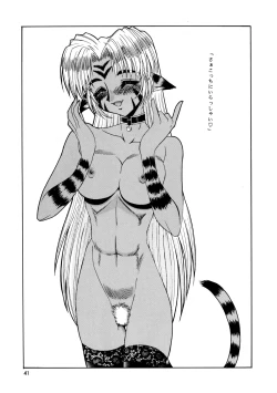 Page 41 of CAZA MAYOR 3