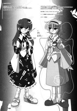 Page 44 of TOHO N+ SSR