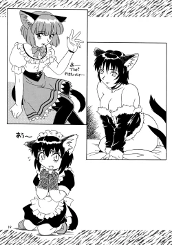 Page 19 of CAZA MAYOR