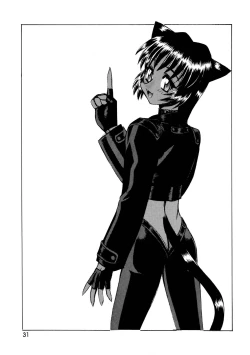 Page 31 of CAZA MAYOR