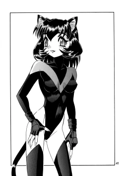 Page 41 of CAZA MAYOR