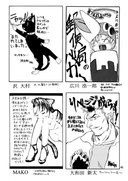 Page 45 of CAZA MAYOR