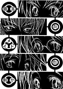 Page 7 of CAZA MAYOR