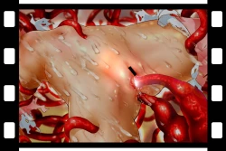 Page 195 of Bitou Megami Elsex