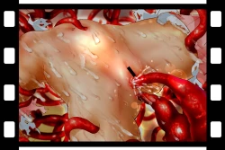 Page 196 of Bitou Megami Elsex