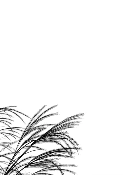 Page 20 of Hikari no Kimi no Saganaki Keikaku <Nokiba no Ogi> | Lord Hikaru's Cunning Plan <Nokiba no Ogi>