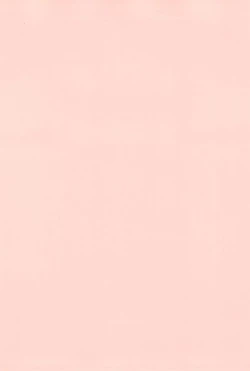 Page 4 of Ayanami Hokan KeikakuKaiteiban