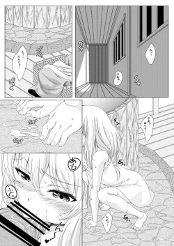 Page 4 of touhouhimekamiden