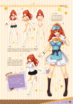 Page 13 of Nora to Oujo to Noraneko HeartVisual Fan Book