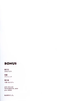 Page 12 of BONUS