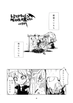 Page 45 of R-18G na Gensoukyou no Gohan Goudoushi