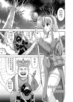 Page 1 of Princess Lesson 1-16