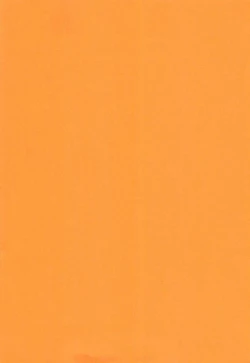 Page 4 of NO EXIT SESSION