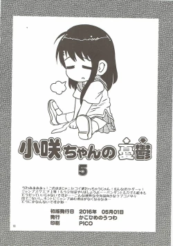 Page 17 of KOSAKI CHAN NO YUUUTU 5