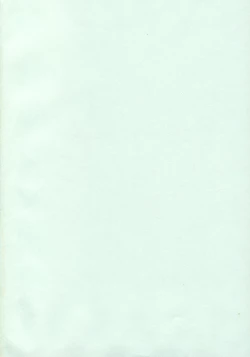 Page 5 of Princess Special