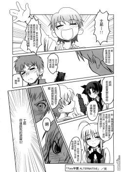 Page 19 of Fate Gakuen ALTERNATIVE