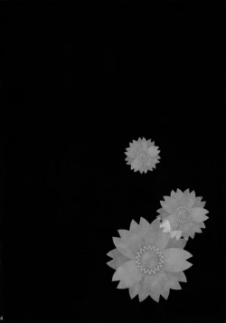 Page 4 of Magical Lily