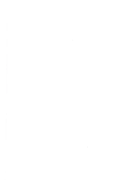 Page 29 of Onii-chan Ookupaa