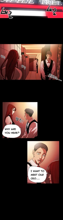 Page 295 of Ace Ch.1-27