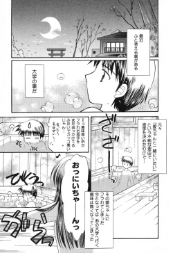 Page 24 of Pure Petit Vol. 12
