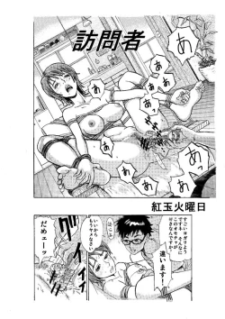 Page 2 of 訪問者 前編