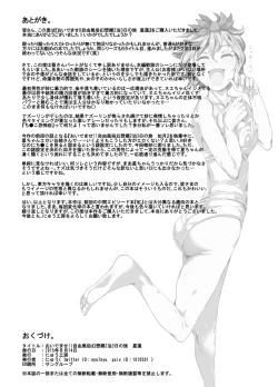 Page 29 of Oidemase!! Jiyuu Fuuzoku Gensoukyou 2kka no Tabi - Seiren