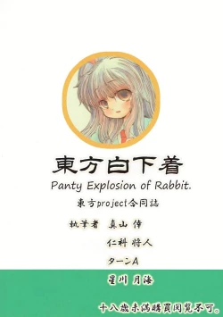 Page 22 of Touhou Shiro Shitagi - Panty Explosion of Rabbit.
